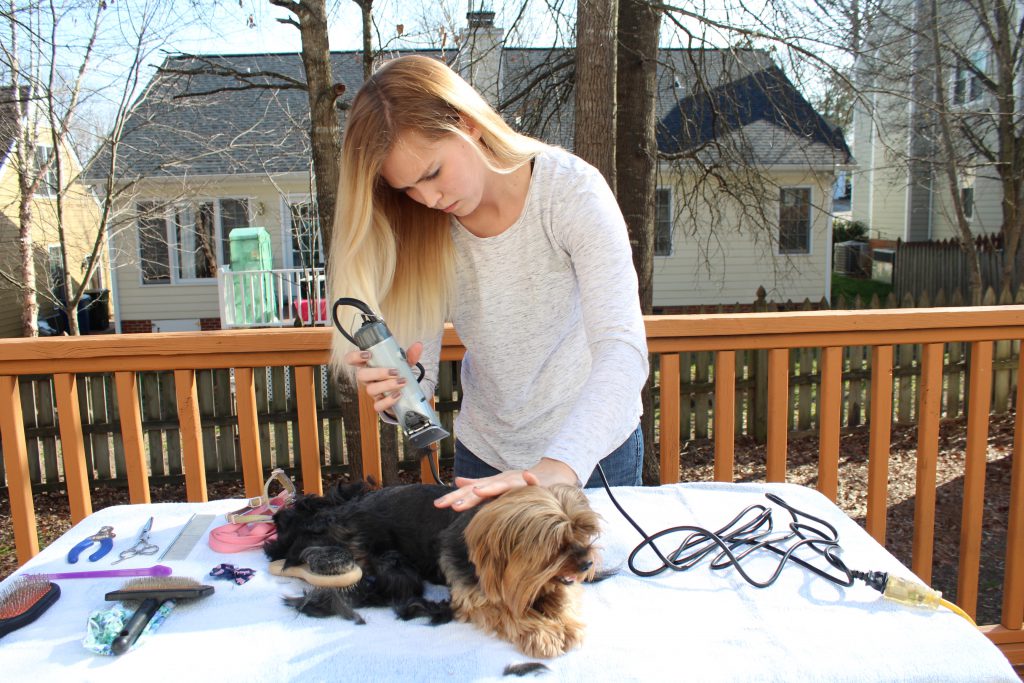 The 5 Best Dog Clippers for Grooming To ensure a clean and easy cut