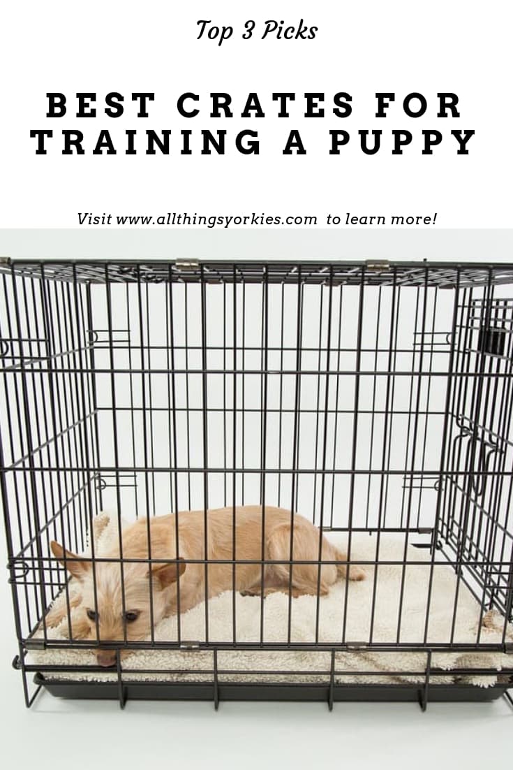Best Crate for Training a Puppy Our top 3 picks! All Things Yorkies
