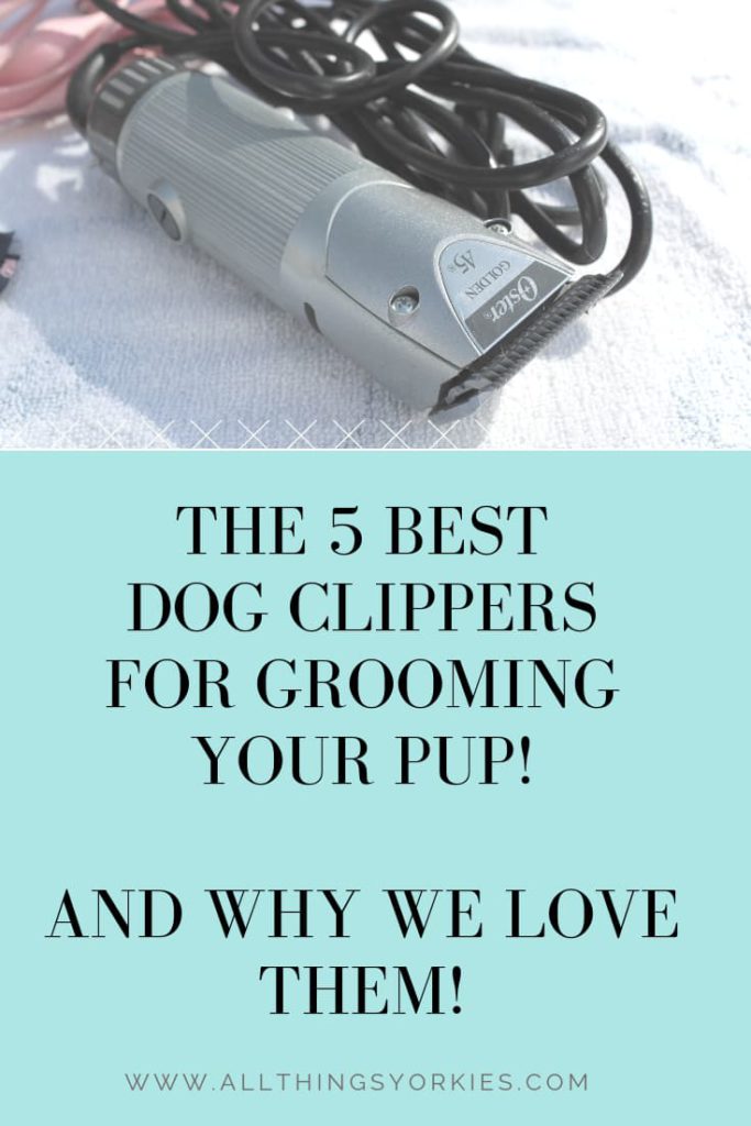 The 5 Best Dog Clippers for Grooming To ensure a clean and easy cut