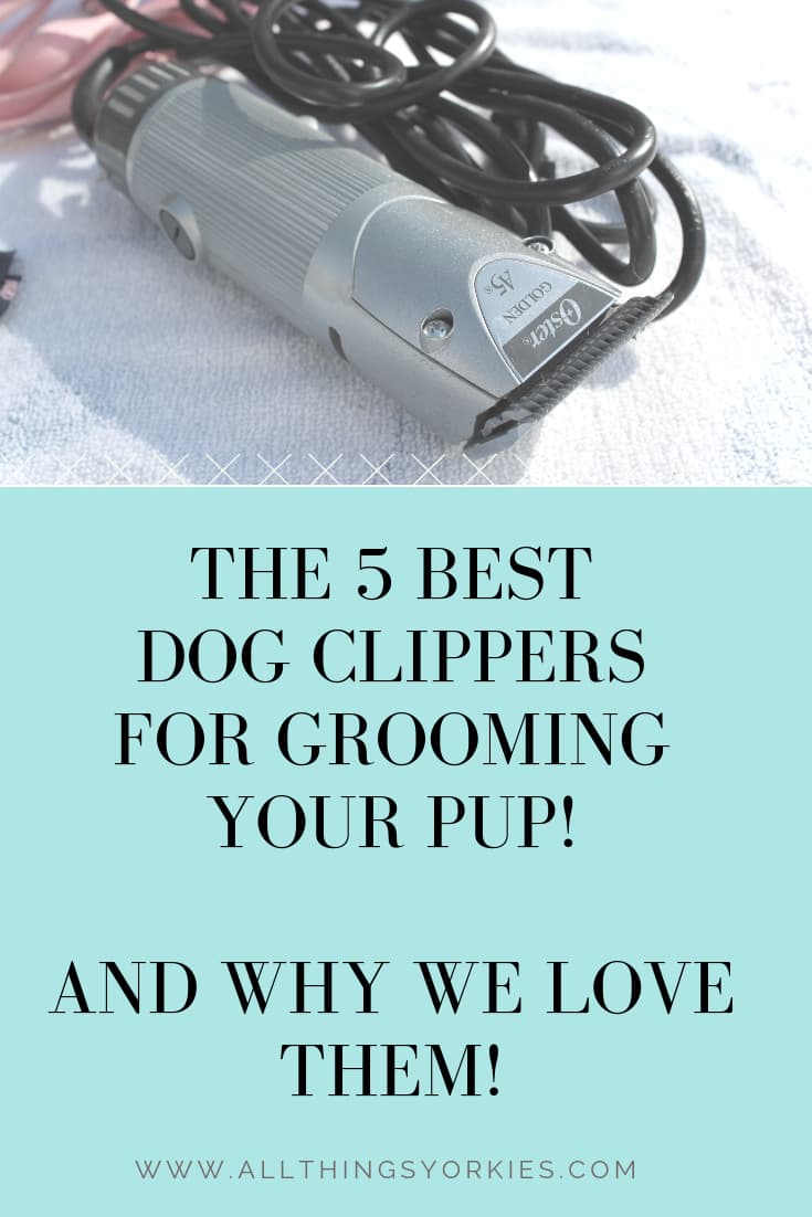 The 5 Best Dog Clippers for Grooming To ensure a clean and easy cut