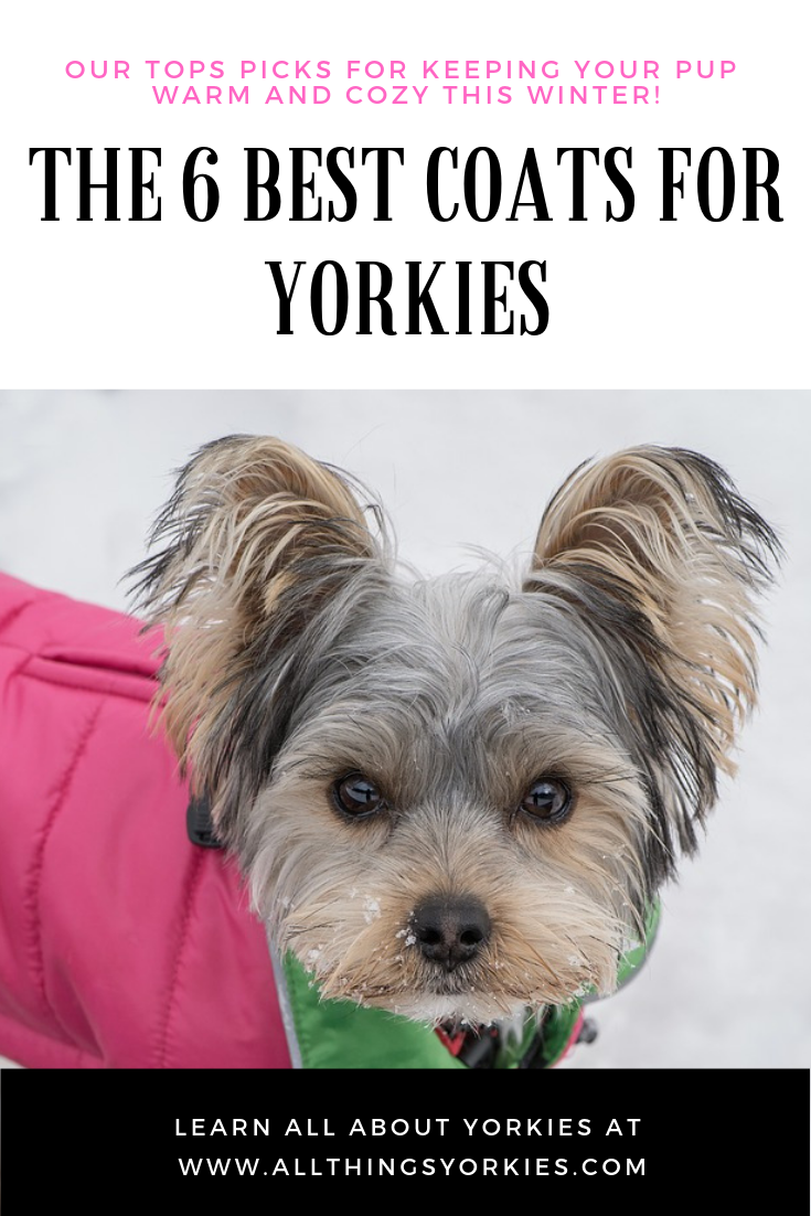 The 6 Best Dog Coats for Yorkies Keep your pooch warm this winter! All Things Yorkies