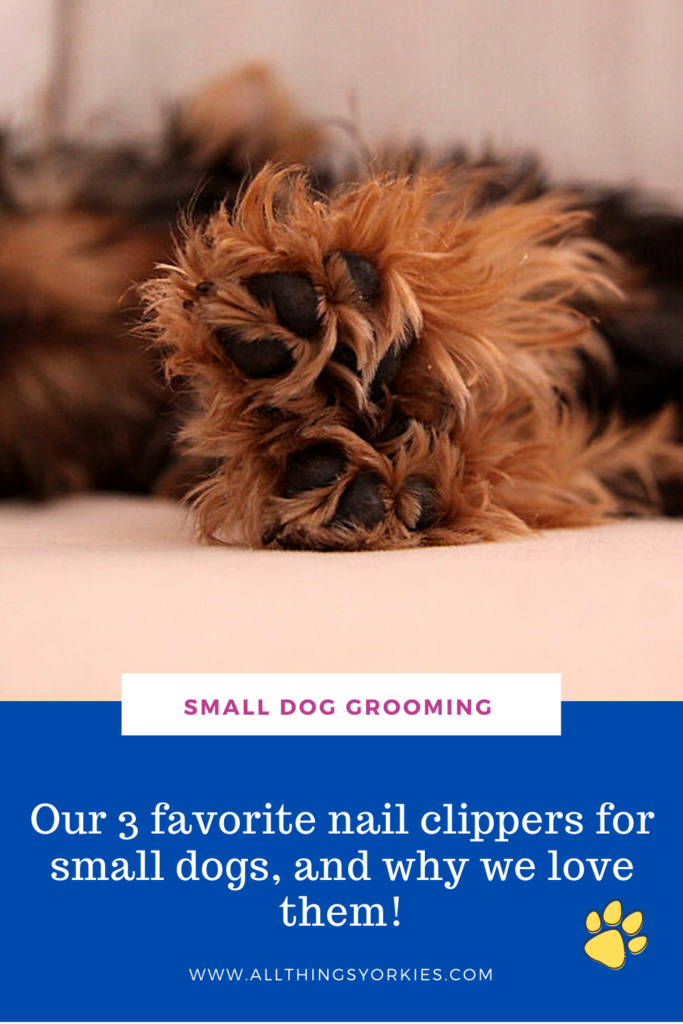 3 Best Nail Clippers for Small dogs Our favorites for petite paws